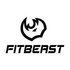 Review of the FitBeast